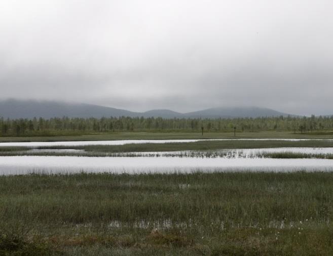 Potentiaalia kuvaa esimerkiksi se, että Yhdysvalloissa lintuharrastus on suositumpaa kuin golf tai koripallo (Niemi 2000). Suomessa käy vuosittain yli tuhat ulkomaalaista lintumatkailijaa (MEK 2009).