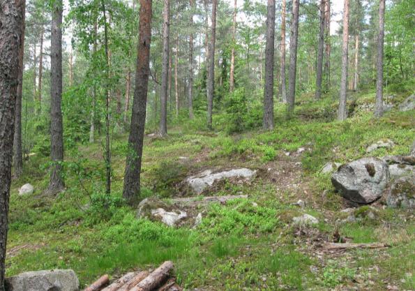 suunnittelualueelta.