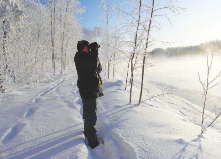 Miika Potu Suojarinne katsastamassa naapurin puolen lintuja Vuoksen rannassa taajamalaskennassa 9.1.2010. Vesilintuja ei lasketa. Janne Aalto. kerros, toisina lumi on estänyt metsäkävelyn.