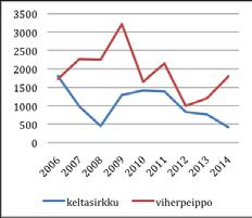 Pikkuvarpusen talvikanta on jakson aikana Suomessa moninkertaistunut, mutta Imatralla kanta on vakiintunut ja vaihtelu on