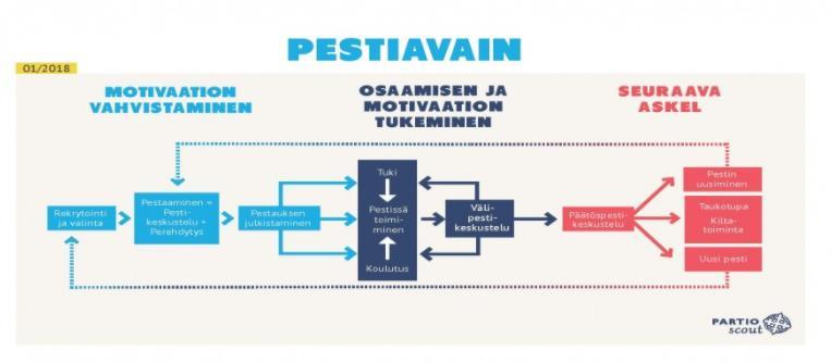 Pestiavain kertoo, mistä vaiheista pestissä toimiminen koostuu: motivaation vahvistaminen, osaamisen ja motivaation tukeminen sekä jatkosta sopiminen.