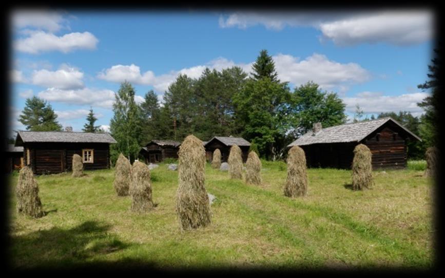 Näkökulmia perinnebiotooppien hoitoon Luonnonsuojelullinen (Teho)tuotannollinen Maisemanhoidollinen Nostalginen Se on kyllä minun mielestä