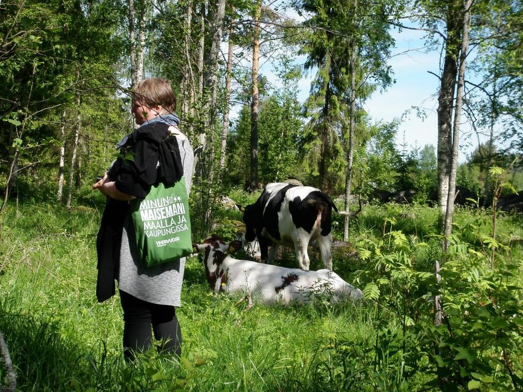 Näkökulmia perinnebiotooppien hoitoon