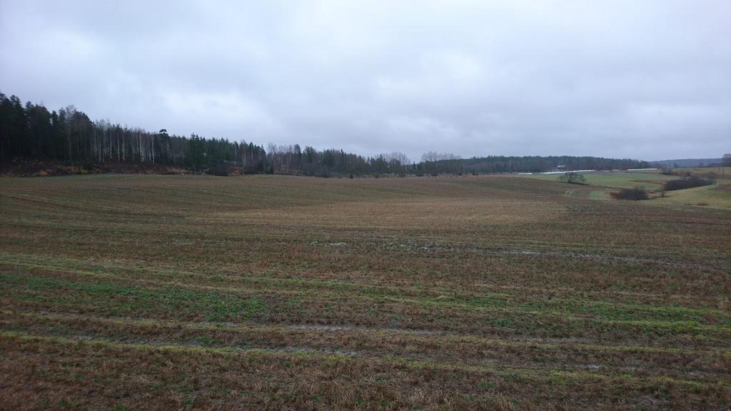 hyväksi tekniikaksi