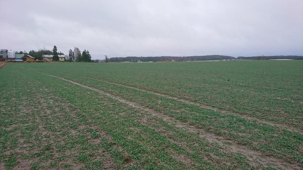 eivät huku Elokuun lopulla