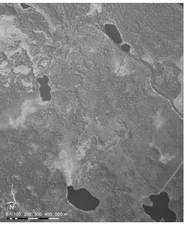 Kuva 5-36 Säynelammen ja Myllylammen yläpuolinen alue vuosina 1954 (vasemmalla) ja 2016 (oikealla) (