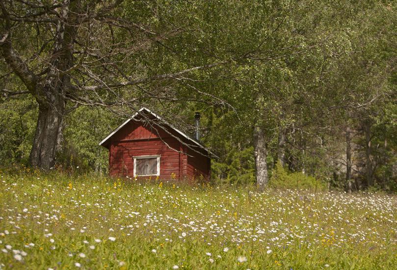 Opas kertoo retken aikana tarinoita Kolin historiasta, luonnosta ja kulttuurista. Kesto n. 1,5 h, min. 1 hlö, maks. 25 hlöä. 15 /aikuinen, 7 /lapsi (alle 15-v.), 35 /perhe (2+2). HUOM!