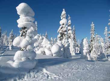 Puijon Latulainen 2/2018 Lumisade hengittää Lumisade sakenee suurin hiutalein. Kotonapäin tällaiset olisivat räntälämpäreitä, täällä puhdasta lunta. Pakkasta parikymmentä.