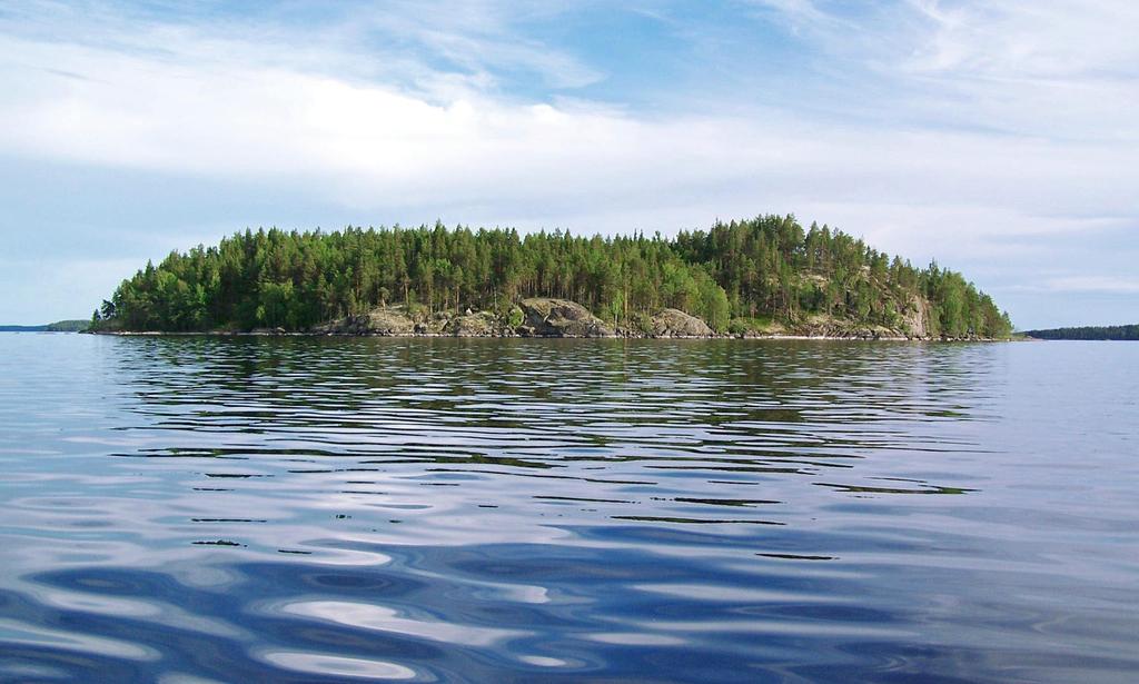 Jos kuitenkin pystyt vielä ihailemaan kallioisia saarimaisemia viilipyttynä niin katsotaanpa, miten käy, kun kajakkisi vierestä sinulle eväänsä heilauttaa uhanalainen saimaannorppa samalla kun