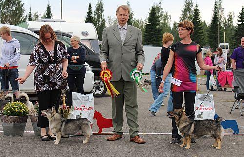 Erikoisnäyttelyn 2012 tulokset Yhdistyksen erikoisnäyttely 4.8.