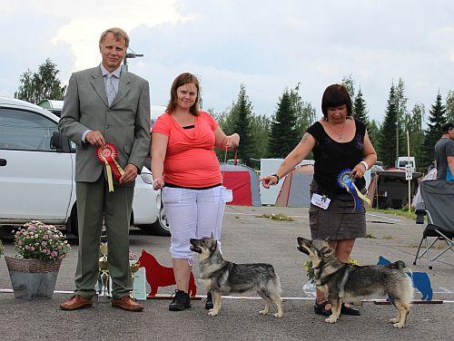 BIS Fennican Geeba Gerbera (om. Kirsi Hotanen) & VSP Calawan Elias (om. Tanja Partanen). Keskellä tuomari Bo Skalin.