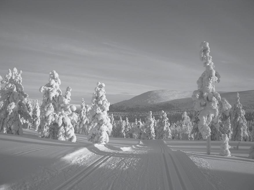 Hiihtoviikko Ylläksellä Turun Ladun hiihtoviikko 2019 hiihdetään viikolla 12 Ylläksen laduilla Äkäslompolossa. Latulaiset majoittuvat perinteisen Stenan Majan vieraanvaraiseen täysihoitoon.