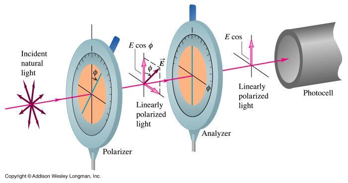 kutsutaan nyt polarisaattoriksi, koska se muuttaa luonnollisen, polarisoitumattoman valon lineaarisesti polarisoituneeksi valoksi.