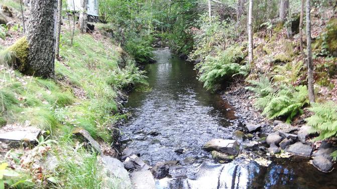 WWF ja Kesko vastasivat myös talkooväen muonituksesta.