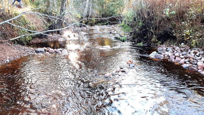 Kivikynnyksillä ja suisteilla monipuolistettiin virtaamaolosuhteita ja luotiin kaloille suojapaikkoja.