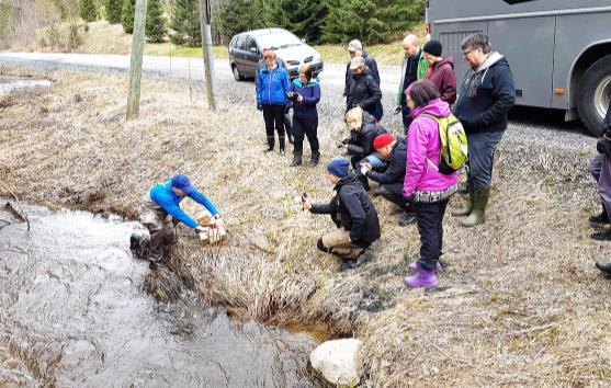 Orivedellä Taipaleenjoen Myllykosken purettavaan patoon.