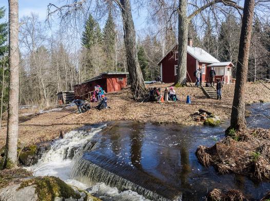 Mädin kuoritumisvaihe onnistui hyvin ja kuoriutuneet taimenet