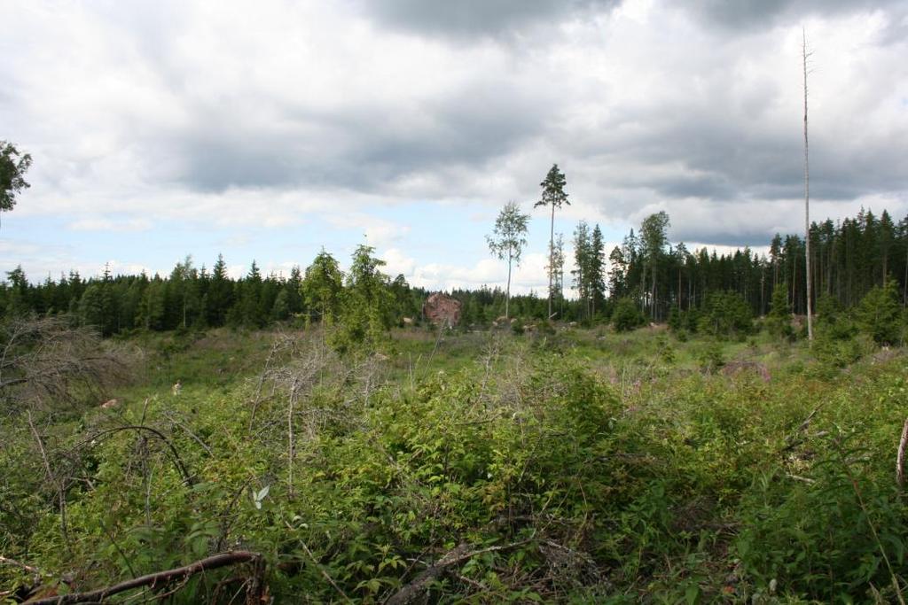 DG675:2 Siirtolohkare
