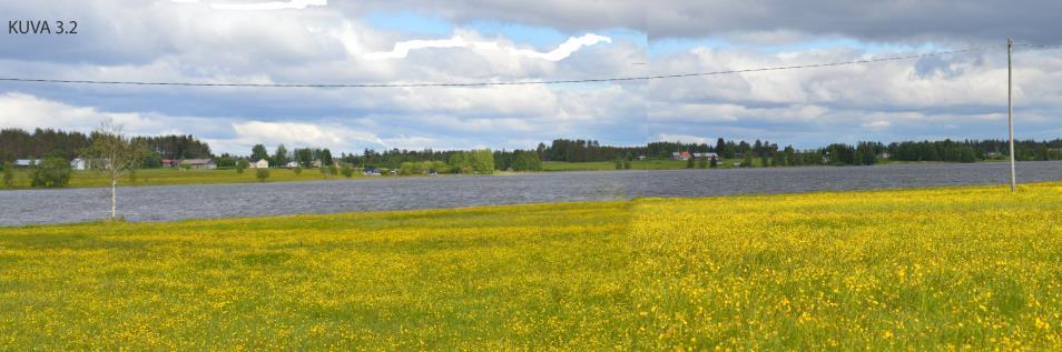 4 Osa-alue 4, Niemi Niemi jakaa Särkijärven läntiseen altaaseen ja salmimaisen kapeaan itäosaan. Maiseman arvot: - Avoimet rantaviivan suuntaiset, melko kapea-alaiset viljelykset.