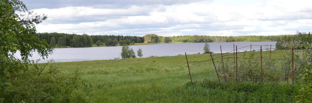 Vastarannalla on vain vähäisesti rakennettua ympäristöä, mutta taustametsän ja rantapuuston yksityiskohdat tuovat silti pienipiirteisyyttä maisemakuvaan.