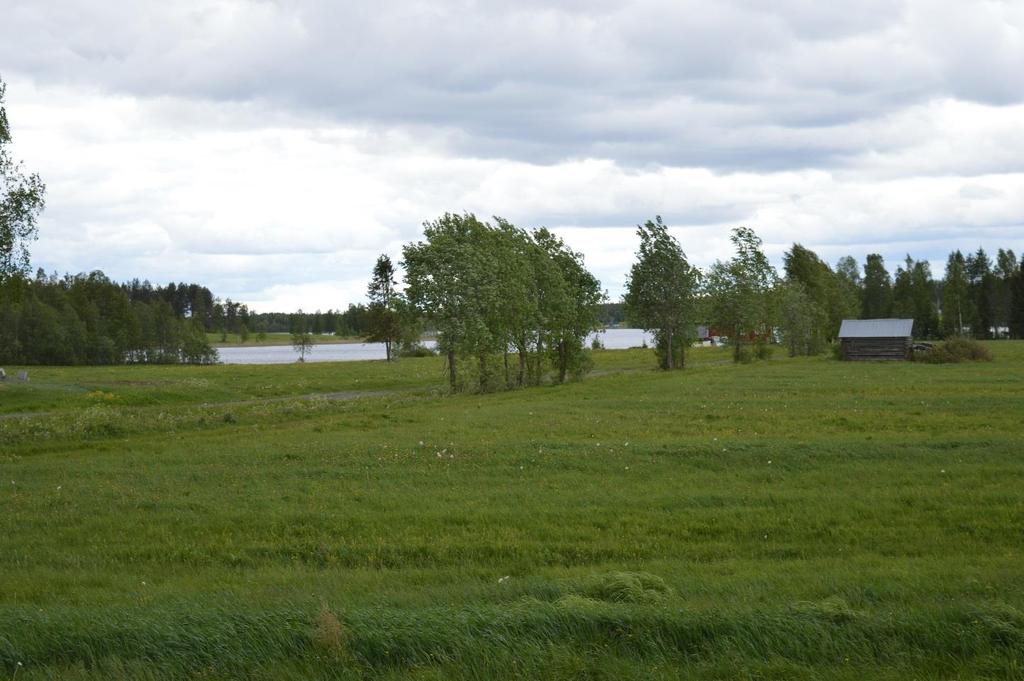 14 Kuva 18. Puolangantieltä avautuu välähdysmäisiä näkymiä kohti Särkijärveä.