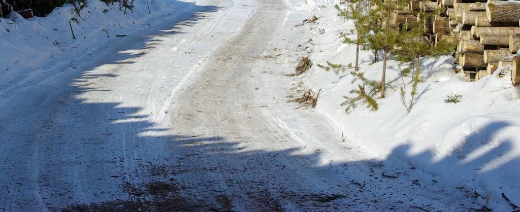 tieisännöitsijöitä, tiekuntaväkeä, metsänomistajia Kysymyksiä, neuvoja, kuvia, videoita, keskusteluja,