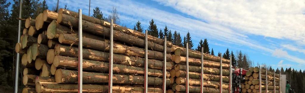 Metsätie metsätaloudenperusedellytys muttakestääkötienkantti?