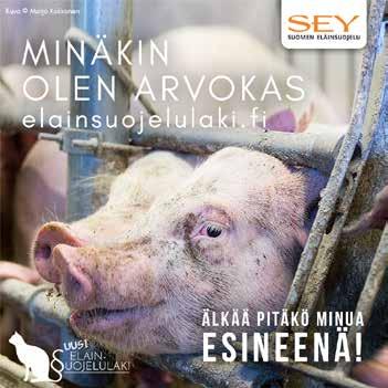 SEY vuosikertomus 7 SEY Suomen Eläinsuojeluyhdistysten liitto (SEY tai liitto) on vahva kansalaisjärjestö ja Suomen suurin, valtakunnallisesti toimiva eläinsuojelujärjestö.