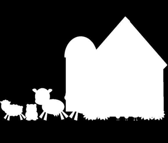 We will weigh and measure them daily, watch them grow and then return them to the farm store before Thanksgiving.