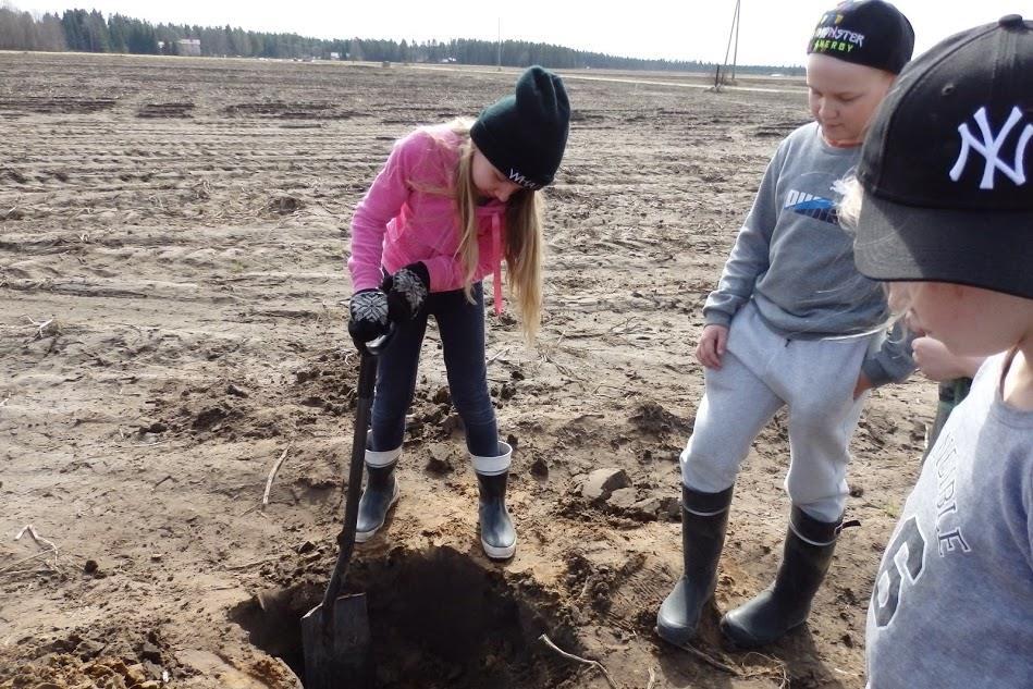 11. Sosiaalisen median kanavat käyttöön + muu aktiivinen tiedottaminen, mm.