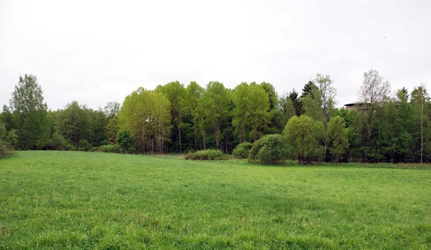 Kuva 1. Kesän 2014 tutkimusalue kuvassa vasemmalla näkyvällä pellolla.