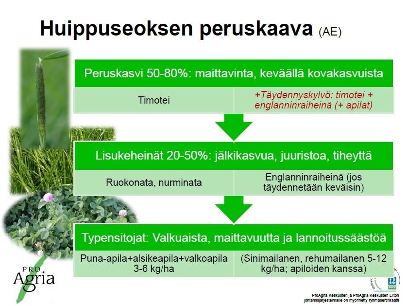 Sivu 5 Teksti: Heidi Fontell Nurmiseminaari Lempäälässä 16.12.