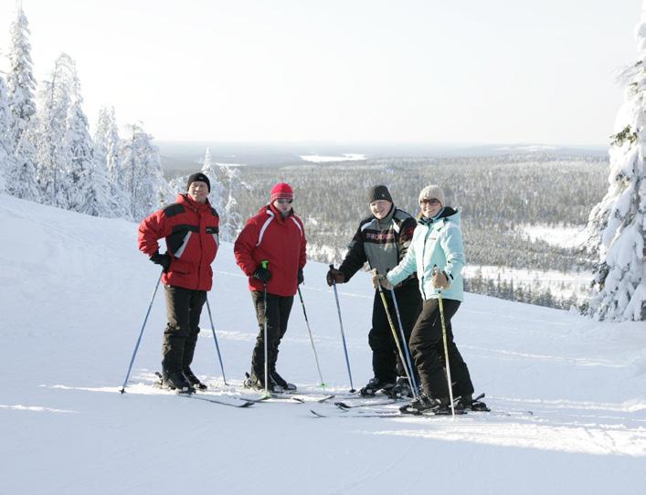 Nämä elinkeinot nojaavat vahvasti Posion