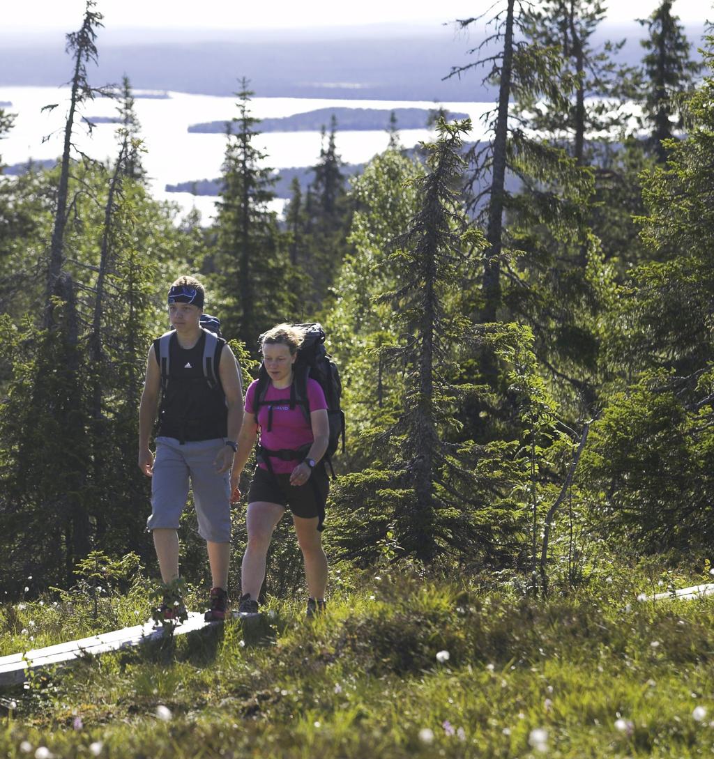 Osta pala Lapin Taikamaata Posiolta löytyy monipuolisia, luonnonkauniita ja