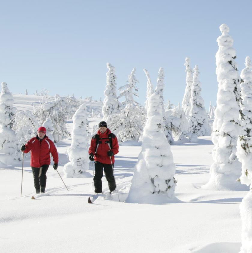 järvet, kattava hiihtolatuverkosto, Kirintövaaran laskettelurinteet,