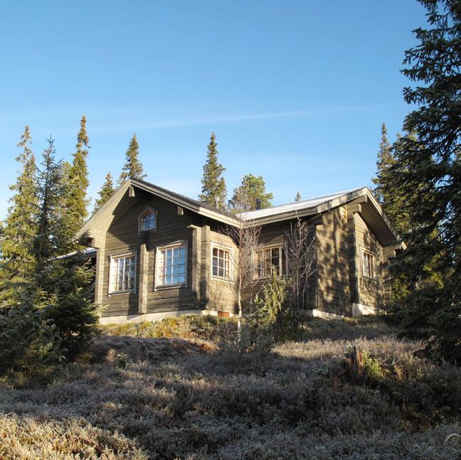 jääputoukset ja monipuoliset ohjelmapalvelut takaavat, että tekemistä riittää