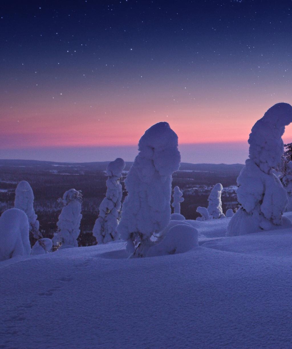 RIISITUNTURI Taianomaiset tykkymetsät, harvinaiset rinnesuot ja avarat järvimaisemat