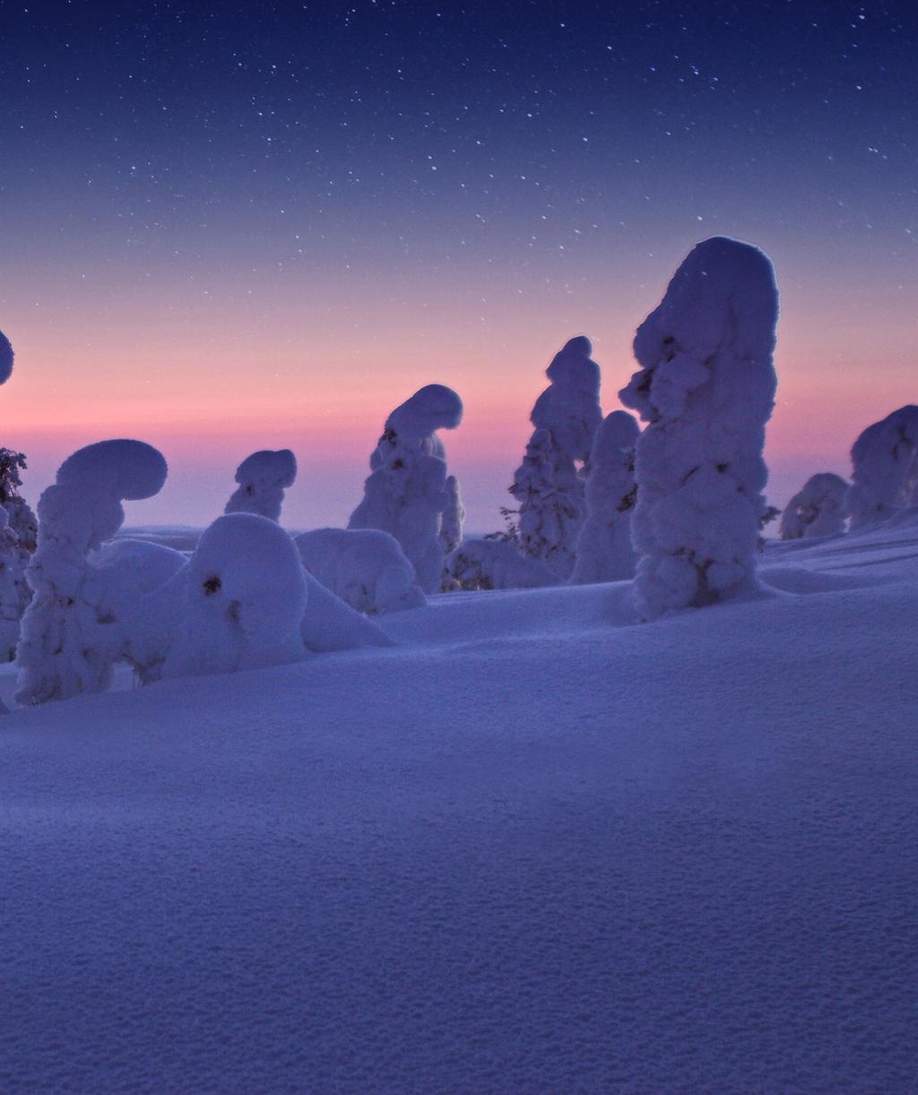 #riisitunturi Vuoden retkikohde 2010 Ympärivuotisia luontoelämyksiä