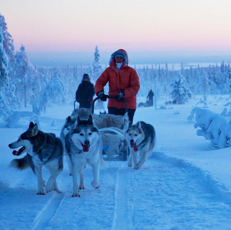 Talvisin Riisillä voi nauttia vauhdin huumasta husky-valjakon