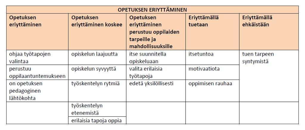 Rauman normaalikoulun OPS Kuvaus opetuksen