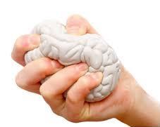 Aivojen plastisuus Hermosto pystyy muuttamaan sekä rakennettaan että toimintaansa. Plastisuus merkitsee mm.