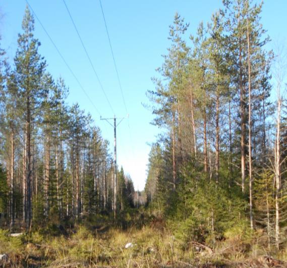 Suurjännite 20 kv Suurjännite 110 kv Sähkölinjoista Onko alimman kuvan