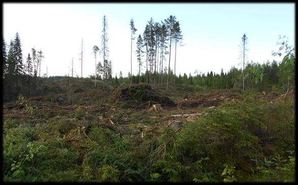 Suojeltavat / säästettävät kohteet Suojeltavia ja säästettäviä kohteita ovat