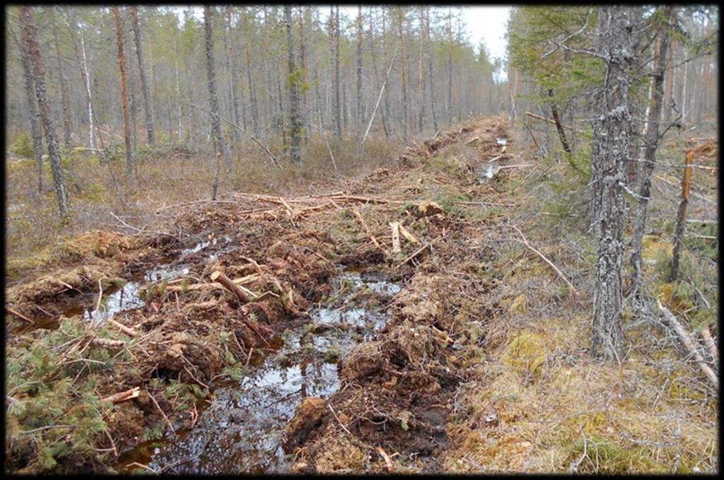 Korjuuajankohta Korjuuajankohta määritellään yleensä jo leimikonsuunnittelussa, mutta sitä voidaan tarvittaessa tarkentaa korjuun suunnittelussa vallitsevien olosuhteiden tai ostajan puun tarpeen