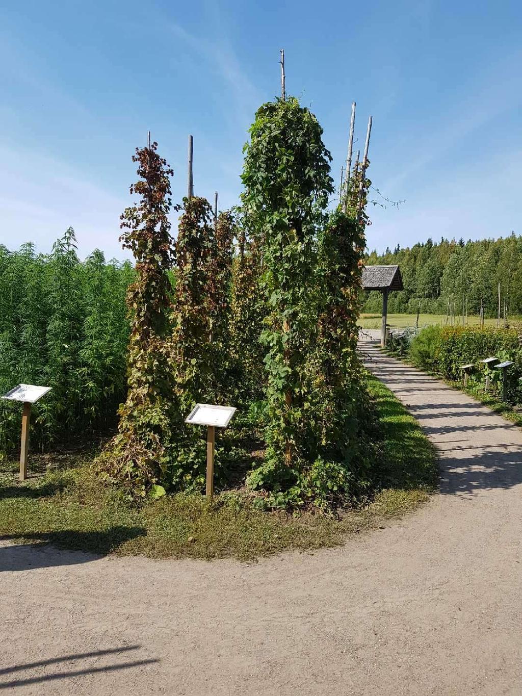 Kuvakooste Jokioisten viljelijäretkeltä Elonkiertopuistosta 16.8.