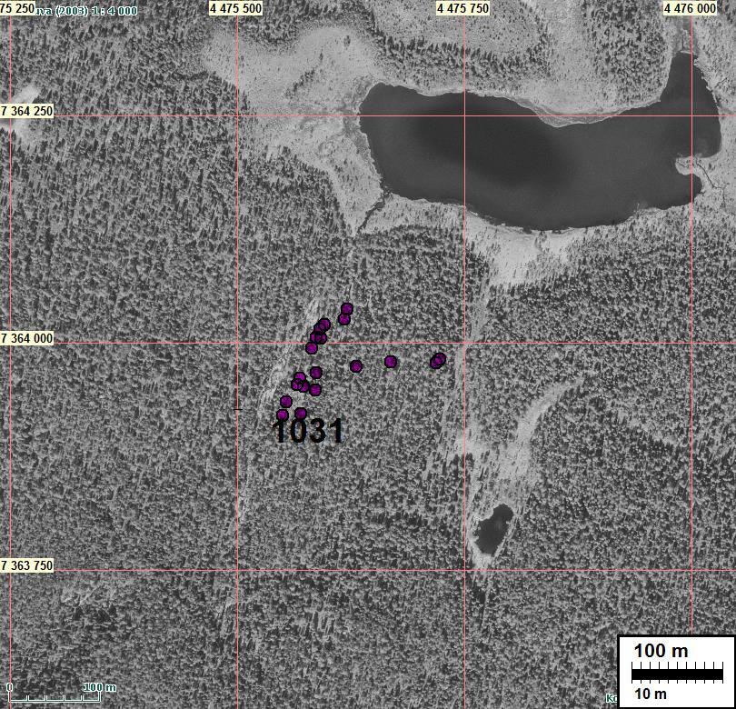 Sijainti: Paikka sijaitsee Oulangan luontokeskuksesta 6,0 km itään, Tulilammesta laskevan puron