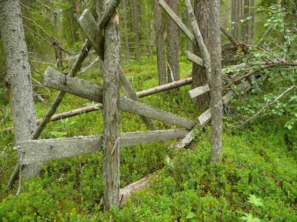 Puurakenteet osin lahonneet osin maatuneet osin hyvin säilyneet ja selvästi näkyvillä.