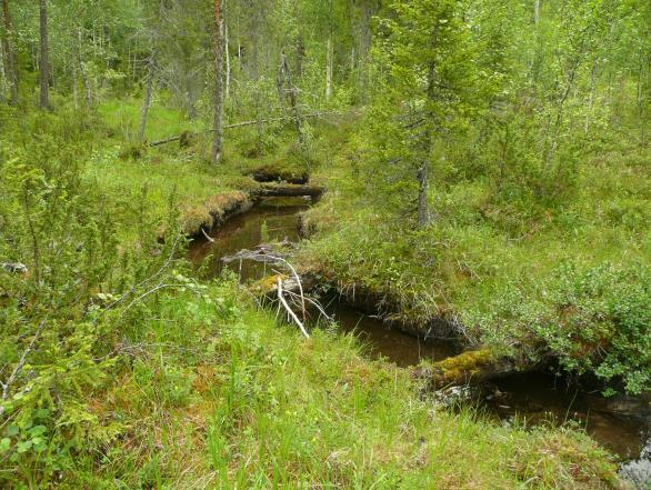 sijaitsee Oulangan luontokeskuksesta 11,6 km itään, Korpelan talosta n. 100 m itään. Huomiot: MH 47452.