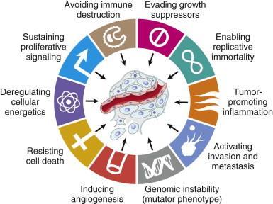 Syövän tunnusmerkit Immuunipuolustusmekanismien välttäminen Piittaamattomuus kasvurajoitteista Proliferaatiosignaloinnin ylläpito Rajoittamaton jakautumiskyky, immortaliteetti Muutokset