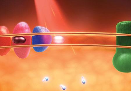 Laservalon aallonpituudesta 800 nm Mitä nopeammin happea vapautuu verenkierrosta, sitä